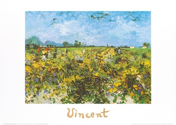 Van Gogh Vincent - The green vineyard 