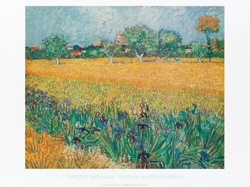 Van Gogh Vincent - Vista di Arles con irises 