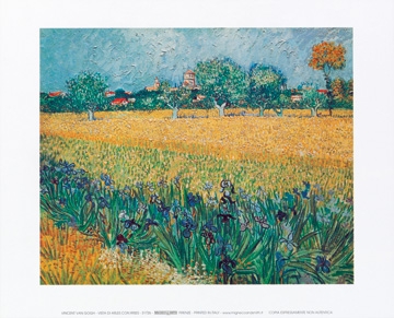 Van Gogh Vincent - Vista di Arles con irises 