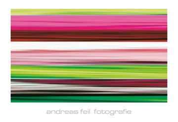 Feil Andreas - Fotografie II 