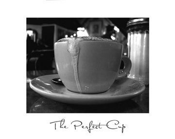 Amour Scott - The Perfect Cup 