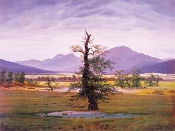 Friedrich Caspar David - Der einsame Baum 