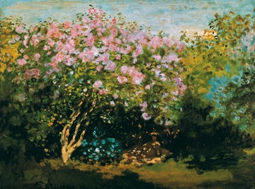 Monet Claude - Blühender Flieder in der Sonne 