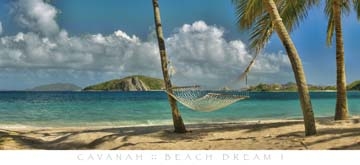 Cavanah Doug - Beach Dream I 
