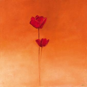 Heinemann Erika - Poppy Elegance II 