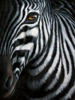 Plath Jutta - Zebra I 