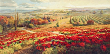 Lombardi Roberto - Red Poppy Panorama 