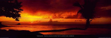 Mackie Tom - Tropical Beach at Sunset 