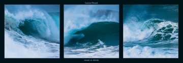 Pinsard Laurent - Waves in motion 