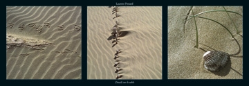 Pinsard Laurent - Details sur le sable 