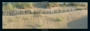 Pinsard Laurent - Dune de Carteret 