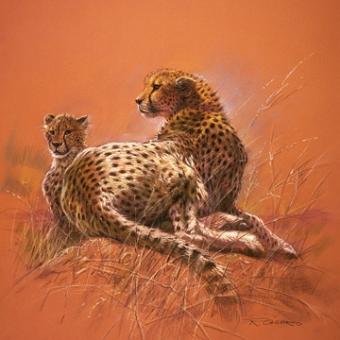 Casaro Renato - Cheetah Mother 