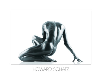 Schatz Howard - Ästhetik 