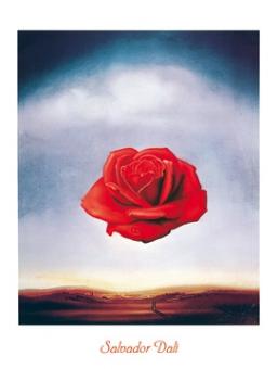 Dali Salvador - Rose meditative 