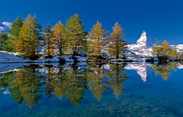 Marent Thomas - Matterhorn with larches I 