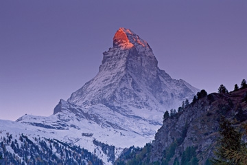 Marent Thomas - Matterhorn with larches III 