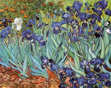 Van Gogh Vincent - Iris 