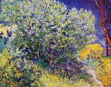 Van Gogh Vincent - Lillas 