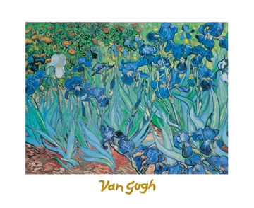 Van Gogh Vincent - Iris 