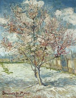 Van Gogh Vincent - Blühende Pfirsichbäume 