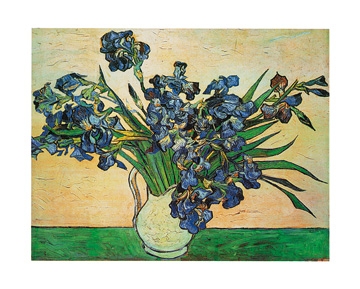 Van Gogh Vincent - Iris Strauss, 1890 
