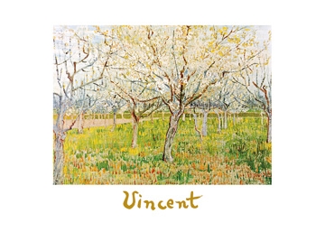 Van Gogh Vincent - The Orchard 