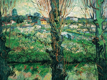 Van Gogh Vincent - Blick auf Arles 