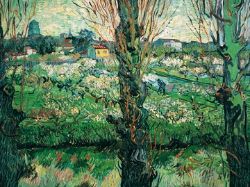 Van Gogh Vincent - Blick auf Arles 