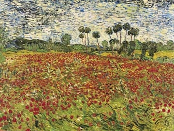 Van Gogh Vincent - Field of Poppies 