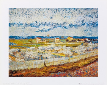 Van Gogh Vincent - Pesco in fiore 