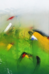 Hansl Alfred - Es grünt so grün 