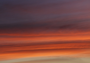 Paprotny Bogdan - Traum 