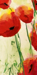 Reil Heidi - Klatschmohn 