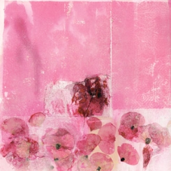 Spilker Katja - Mohnblühen 