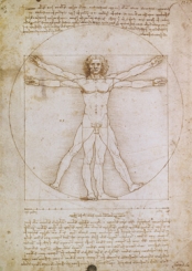 Da Vinci Leonardo - Proporzioni dell'uomo secondo 