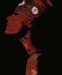 Manrov - Nofre tete3 