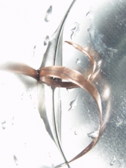 LiSA  - Spiral Harmony I 