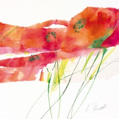 Peuckert Marta - Modern Poppy V 