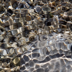 Klipp Ortwin - Liquids 29 