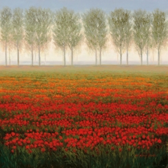 Park  - Morning Mist 